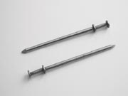 Двуглави гвоздеи